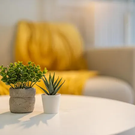 Apartment Le Schuman - En Hyper Centre - Gare - Fibre - Rbnb - Mulhouse