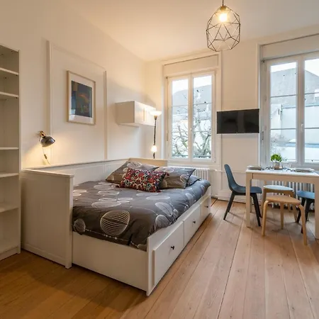 Appartement Le Schuman - En Hyper Centre - Gare - Fibre - Rbnb - Mulhouse